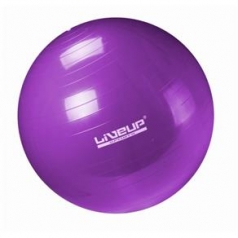 BOLA GINÁSTICA 55CM ROXO 