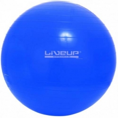 BOLA GISNÁSTICA 65CM AZUL